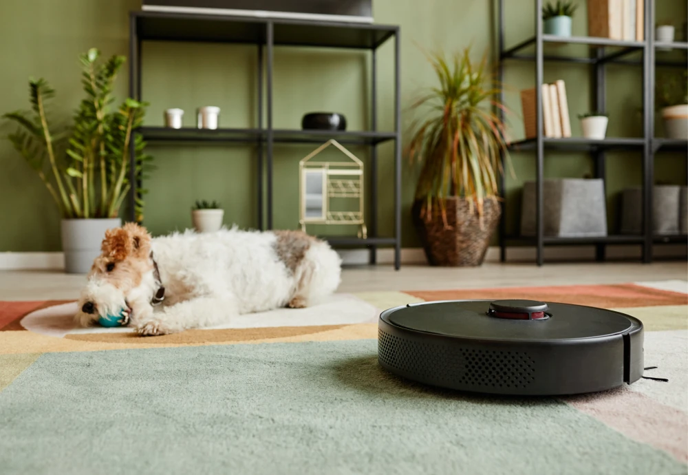 robot vacuum cleaner with mapping